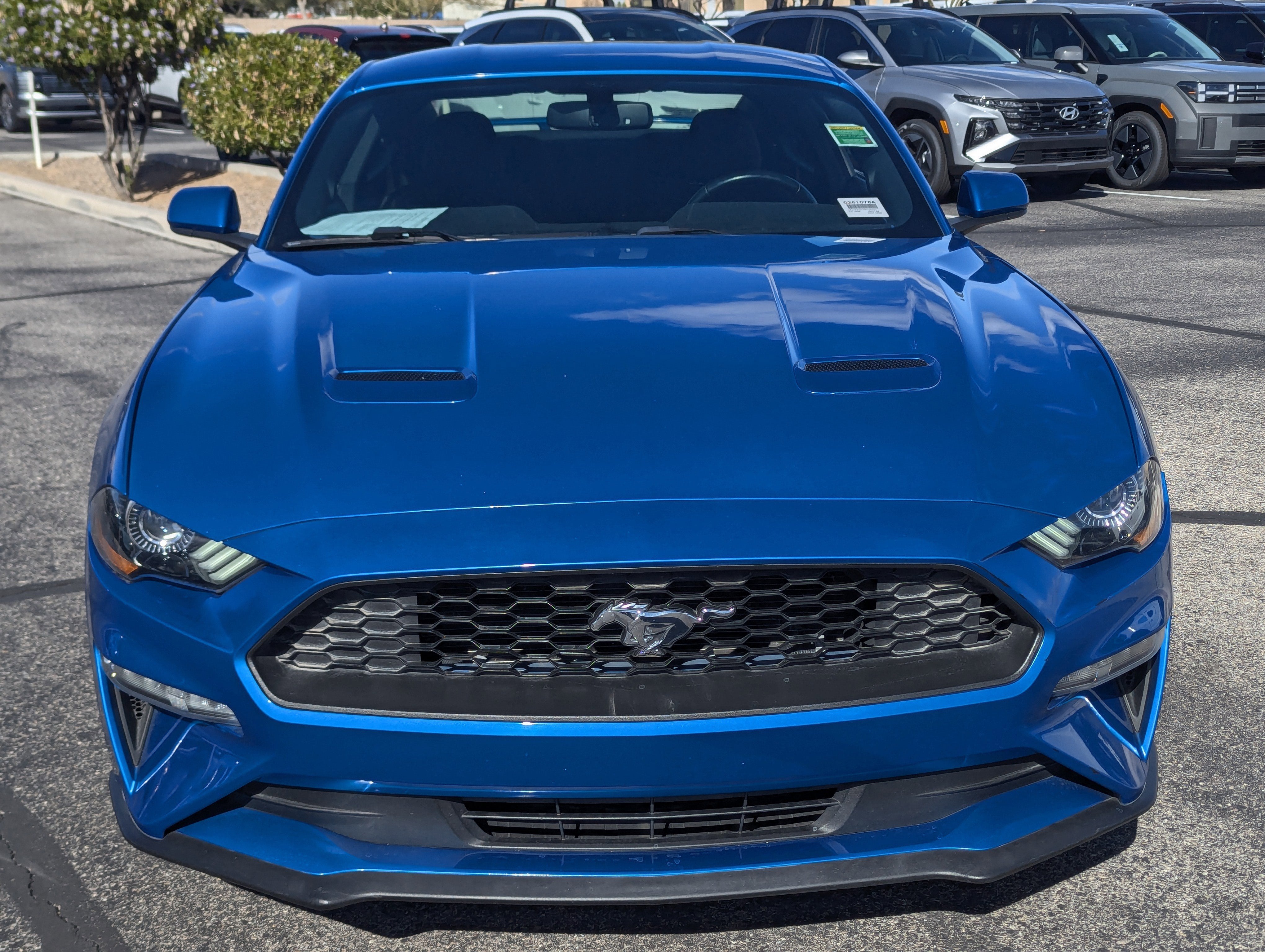 2019 Ford Mustang EcoBoost